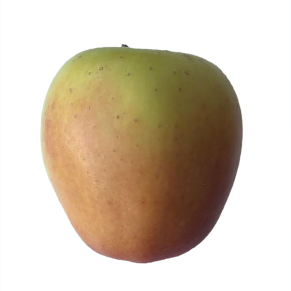 Mela Golden Delicious
